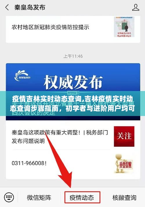吉林疫情实时动态查询指南，初学者与进阶用户均可轻松掌握的查询步骤