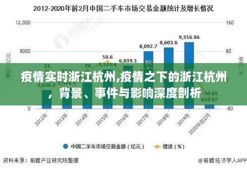 浙江杭州疫情实录，背景、事件与深度影响的全面剖析