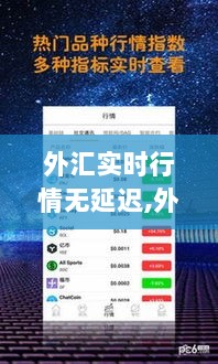 外汇实时行情无延迟全面指南，从初学者到进阶用户必备参考