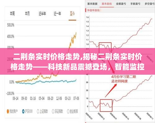 二荆条实时价格走势揭秘，智能监控引领生活新潮流，科技新品震撼市场！