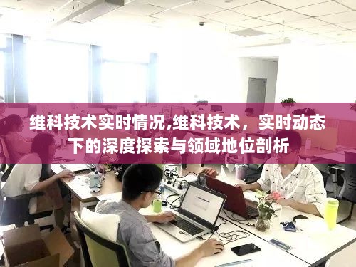 维科技术实时动态深度探索与领域地位剖析报告