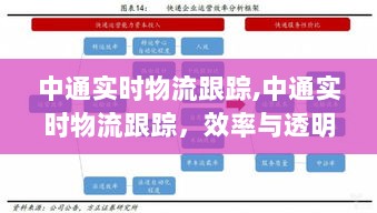 中通实时物流跟踪，效率与透明度的完美融合