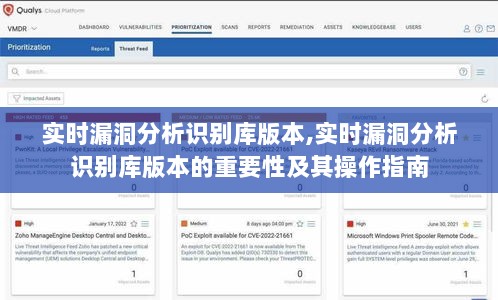 实时漏洞分析识别库版本的重要性及操作指南解析