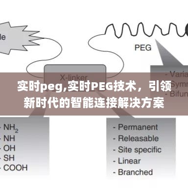 实时PEG技术，引领智能连接新时代，打造无缝解决方案