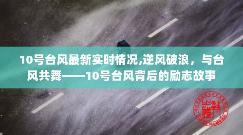 台风逆风破浪，揭秘台风背后的励志故事与最新实时情况追踪