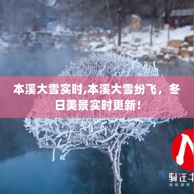 本溪大雪纷飞，冬日美景实时更新欣赏！