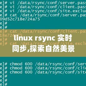 Linux rsync实时同步，探索自然美景之旅，与自然和谐律动的心灵之旅