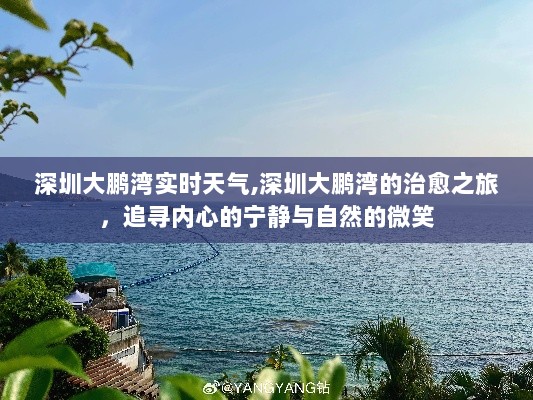 深圳大鹏湾的治愈之旅，追寻内心的宁静与自然微笑实时天气预报