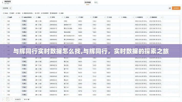 与辉同行实时数据探索之旅，如何找到精准数据？