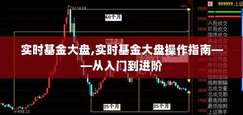 实时基金大盘操作指南，从入门到进阶详解