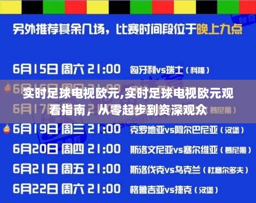 实时足球电视欧元全攻略，从入门到资深观众的观看指南