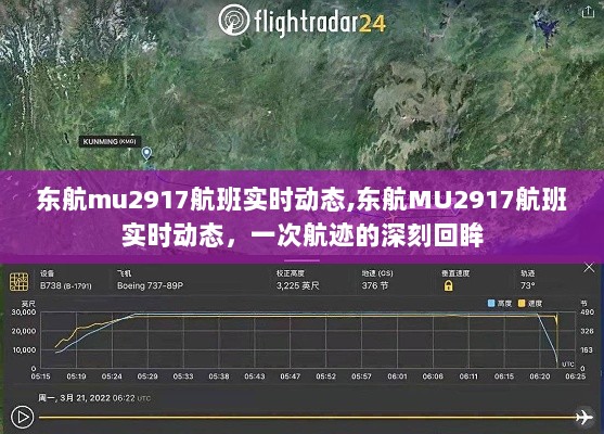 东航MU2917航班实时动态回顾，航迹的深刻回眸