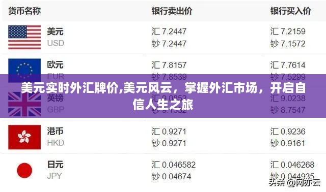 掌握美元风云，实时外汇牌价助你开启自信外汇交易之旅