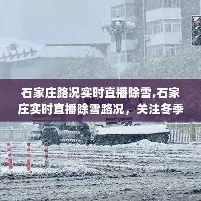 石家庄冬季除雪路况实时直播，关注城市道路畅通与安全