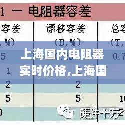 上海国内电阻器实时价格解析，全面评测、特性、用户体验与目标用户分析