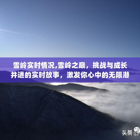 雪岭之巅，挑战与成长并进的实时故事，激发潜能与自信光芒探索之旅