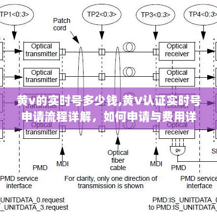 黄V认证实时号申请详解，流程、费用及如何申请全攻略