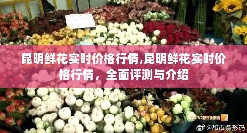 昆明鲜花实时价格行情详解，全面评测与介绍