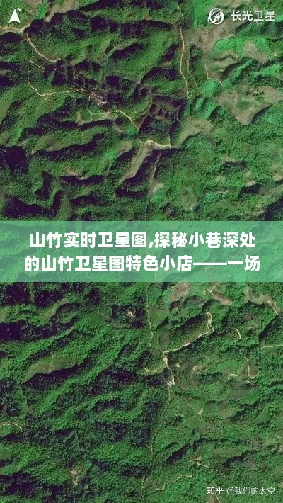 山竹卫星图探秘，独特魅力的奇妙旅程之小巷深处的特色小店