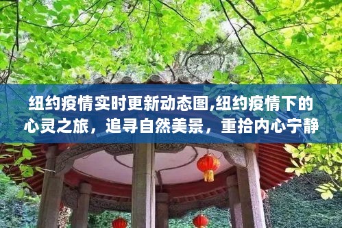 纽约疫情下的心灵之旅，自然美景与内心宁静的奇妙探险实时更新动态图