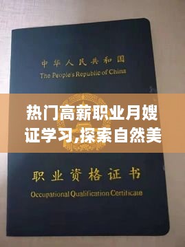 热门月嫂证学习之旅，探索自然美景与内心宁静的旅程