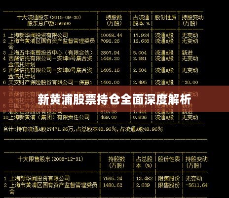 新黄浦股票持仓全面深度解析