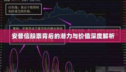 安普信股票背后的潜力与价值深度解析