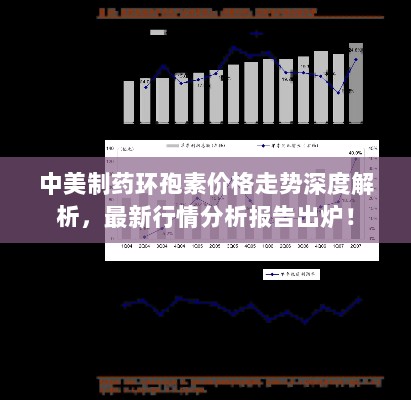 中美制药环孢素价格走势深度解析，最新行情分析报告出炉！