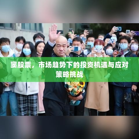 窦股票，市场趋势下的投资机遇与应对策略挑战