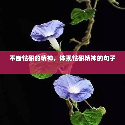 不断钻研的精神，体现钻研精神的句子 