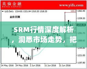 SRM行情深度解析，洞悉市场走势，把握投资机会！