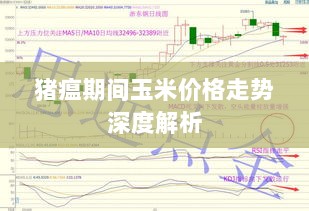 猪瘟期间玉米价格走势深度解析