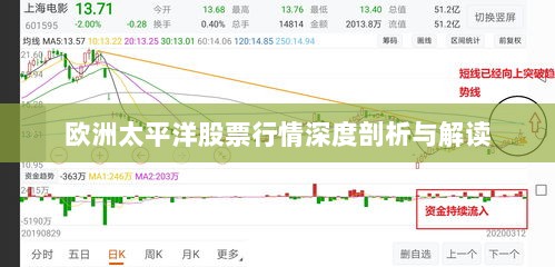 欧洲太平洋股票行情深度剖析与解读