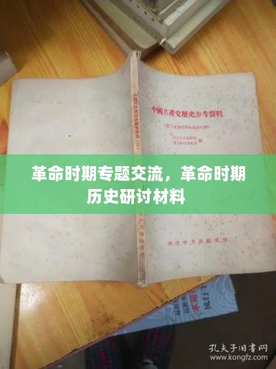 革命时期专题交流，革命时期历史研讨材料 