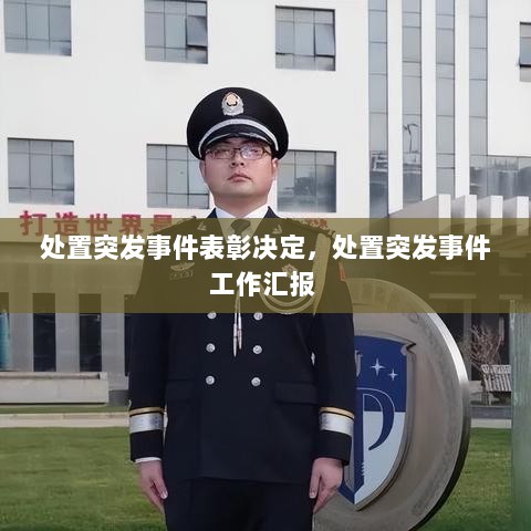 处置突发事件表彰决定，处置突发事件工作汇报 