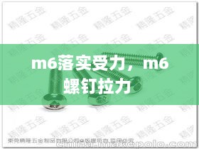 m6落实受力，m6螺钉拉力 