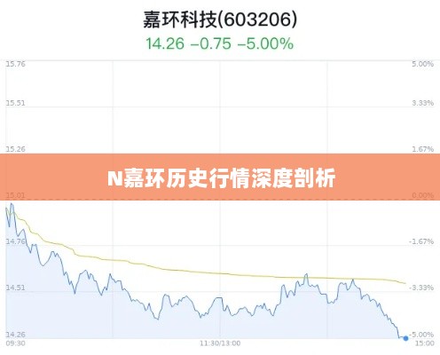 N嘉环历史行情深度剖析