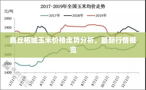 商丘柘城玉米价格走势分析，最新行情概览