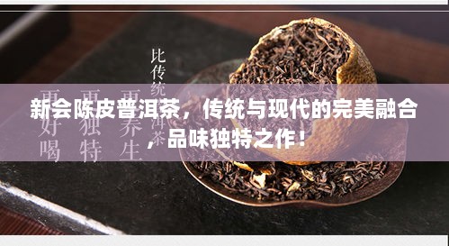 新会陈皮普洱茶，传统与现代的完美融合，品味独特之作！