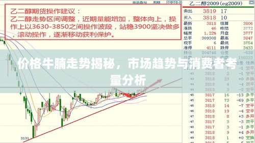 价格牛腩走势揭秘，市场趋势与消费者考量分析