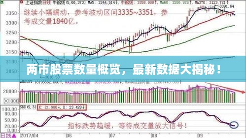 两市股票数量概览，最新数据大揭秘！