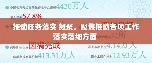 推动任务落实 凝聚，聚焦推动各项工作落实落细方面 