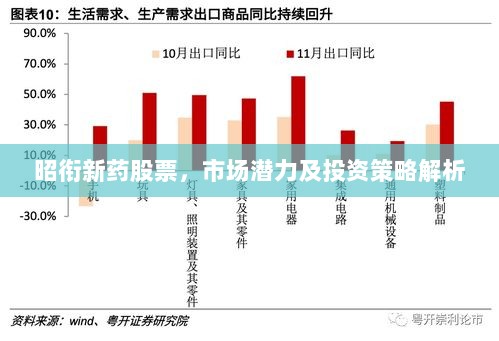 昭衔新药股票，市场潜力及投资策略解析