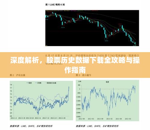 鸟骇鼠窜