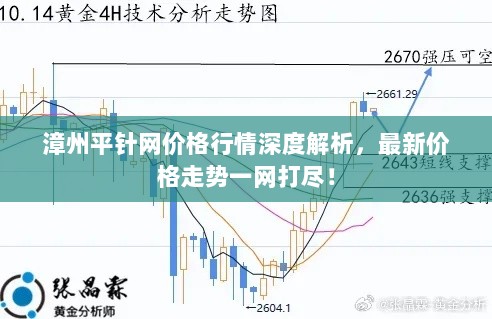 漳州平针网价格行情深度解析，最新价格走势一网打尽！