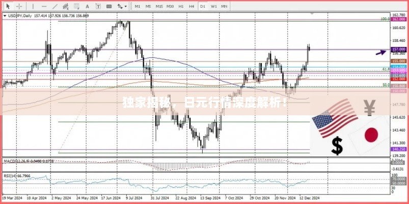 独家揭秘，日元行情深度解析！