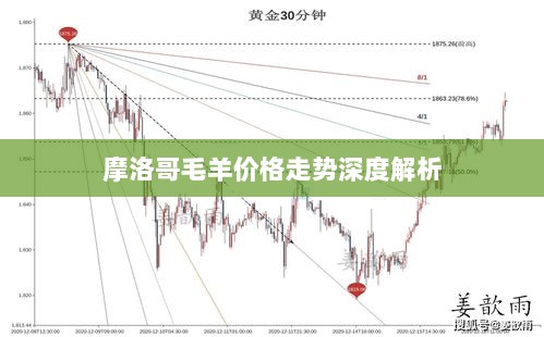 摩洛哥毛羊价格走势深度解析