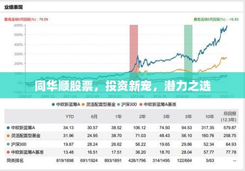 同华顺股票，投资新宠，潜力之选