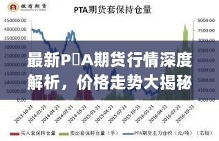 最新P丅A期货行情深度解析，价格走势大揭秘！