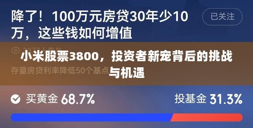 小米股票3800，投资者新宠背后的挑战与机遇